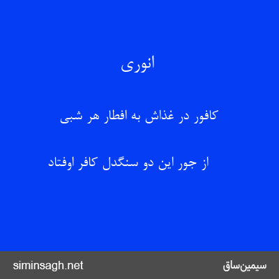 انوری - کافور در غذاش به افطار هر شبی