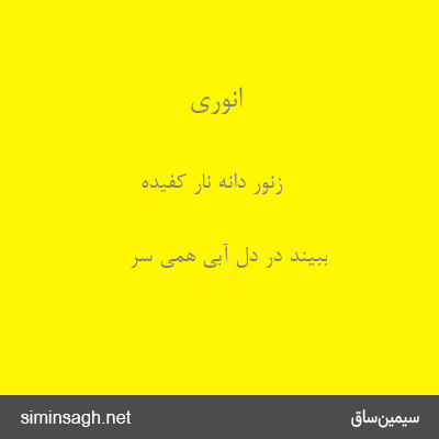 انوری - زنور دانهٔ نار کفیده