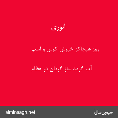 انوری - روز هیجاکز خروش کوس و اسب