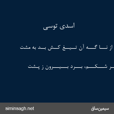 اسدی توسی - پـــس از نـــا گـــه آن تــیــغ کــش بــُد به مشت