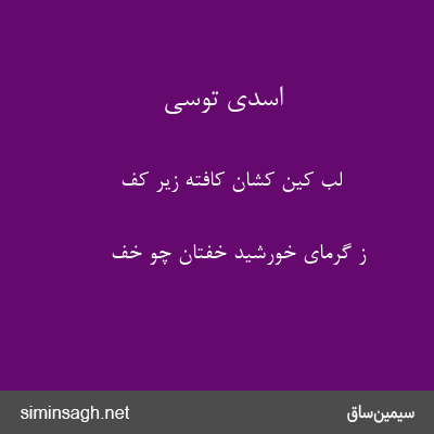 اسدی توسی - لب کین کشان کافته زیر کف