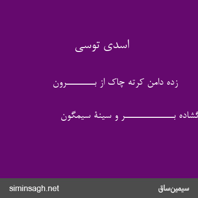 اسدی توسی - زده دامن کرته چاک از بــــــــرون