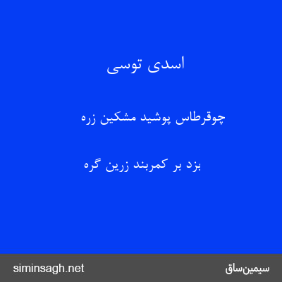 اسدی توسی - چوقرطاس پوشید مشکین زره