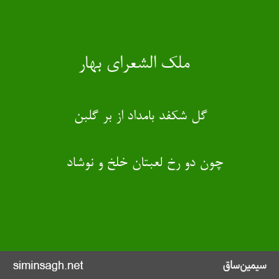 ملک الشعرای بهار - گل شکفد بامداد از بر گلبن