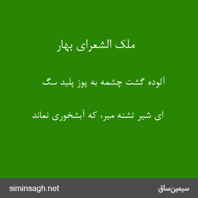 ملک الشعرای بهار - آلوده گشت چشمه به پوز پلید سگ