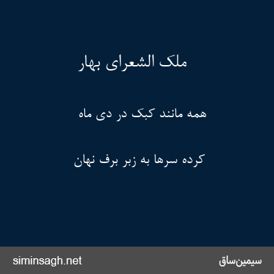 ملک الشعرای بهار - همه مانند کبک در دی ماه