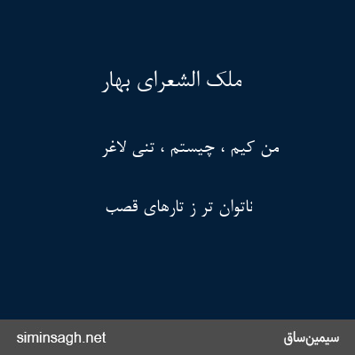 ملک الشعرای بهار - من کیم ، چیستم ، تنی لاغر