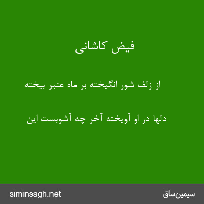 فیض کاشانی - از زلف شور انگیخته بر ماه عنبر بیخته