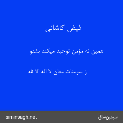 فیض کاشانی - همین نه مؤمن توحید میکند بشنو