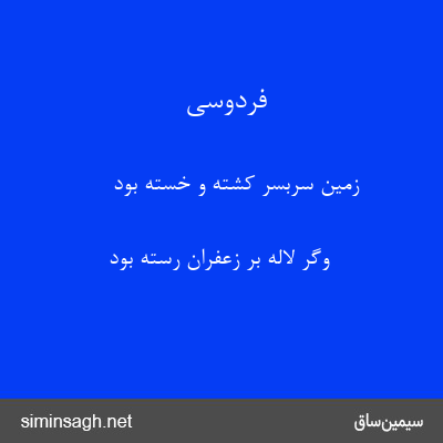 فردوسی - زمین سربسر کشته و خسته بود