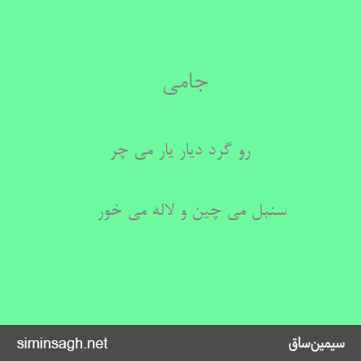 جامی - رو گرد دیار یار می چر