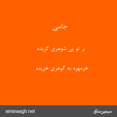 جامی - بر تو پی شوهری گزیده