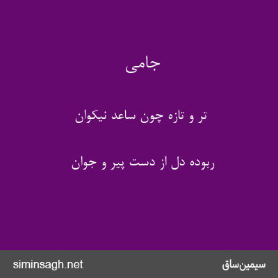 جامی - تر و تازه چون ساعد نیکوان