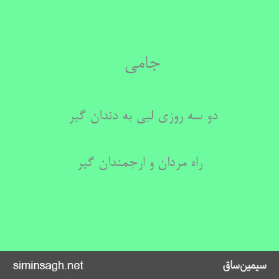 جامی - دو سه روزی لبی به دندان گیر