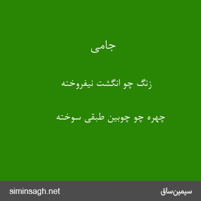 جامی - زنگ چو انگشت نیفروخته