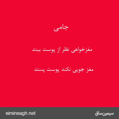 جامی - مغزخواهی نظر از پوست ببند