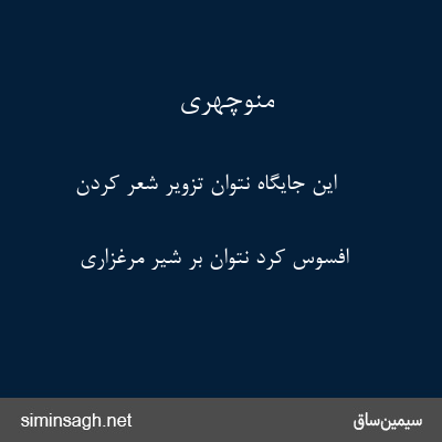 منوچهری - این جایگاه نتوان تزویر شعر کردن