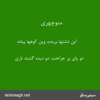 منوچهری - این دشتها بریدم، وین کوهها پیاده