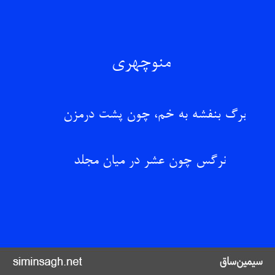 منوچهری - برگ بنفشه به خم، چون پشت درمزن