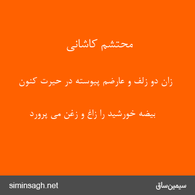 محتشم کاشانی - زان دو زلف و عارضم پیوسته در حیرت کنون