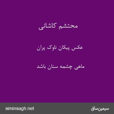 محتشم کاشانی - عکس پیکان ناوک پران