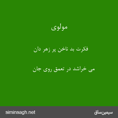 مولوی - فکرت بد ناخن پر زهر دان