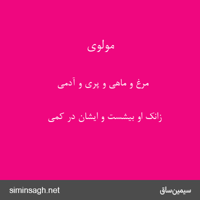 مولوی - مرغ و ماهی و پری و آدمی