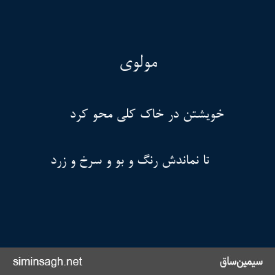 مولوی - خویشتن در خاک کلی محو کرد