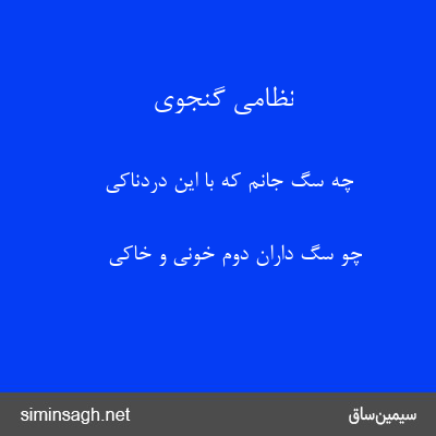 نظامی گنجوی - چه سگ جانم که با این دردناکی