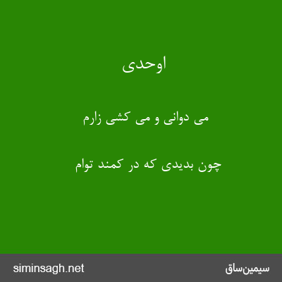 اوحدی - می دوانی و می کشی زارم