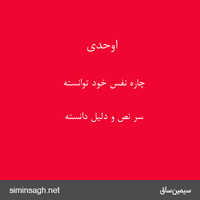 اوحدی - چارهٔ نفس خود توانسته