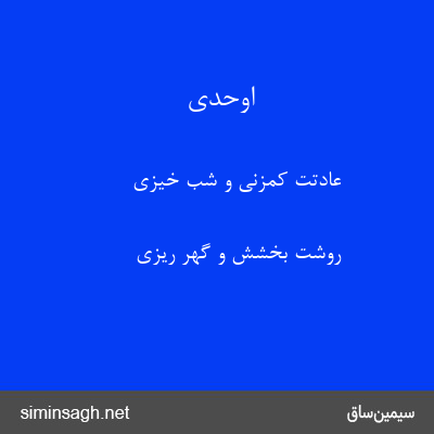 اوحدی - عادتت کمزنی و شب خیزی