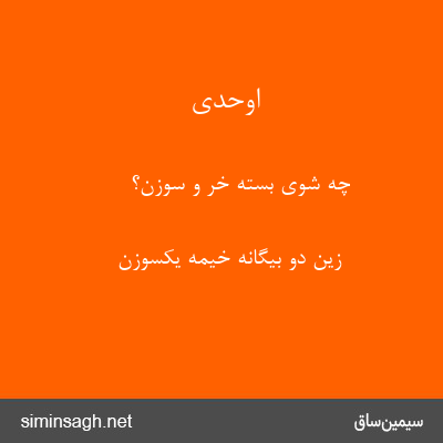 اوحدی - چه شوی بستهٔ خر و سوزن؟