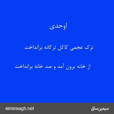 اوحدی - ترک عجمی کاکل ترکانه برانداخت