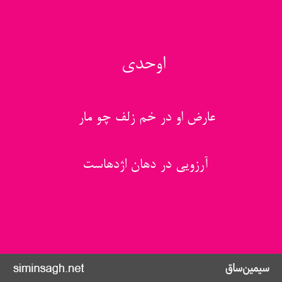 اوحدی - عارض او در خم زلف چو مار