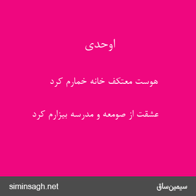 اوحدی - هوست معتکف خانهٔ خمارم کرد