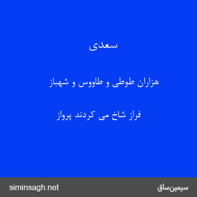 سعدی - هزاران طوطی و طاووس و شهباز