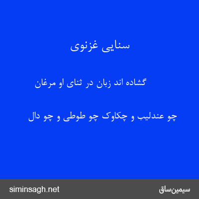 سنایی غزنوی - گشاده اند زبان در ثنای او مرغان