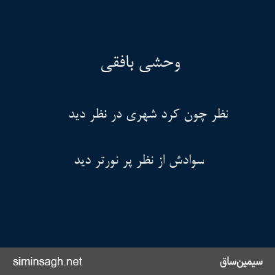 وحشی بافقی - نظر چون کرد شهری در نظر دید