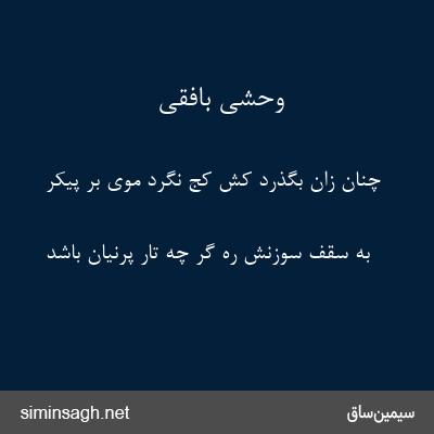 وحشی بافقی - چنان زان بگذرد کش کج نگرد موی بر پیکر