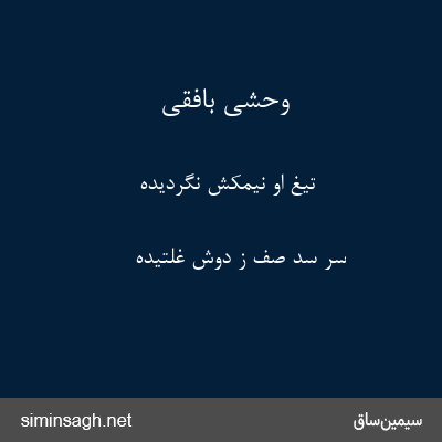 وحشی بافقی - تیغ او نیمکش نگردیده